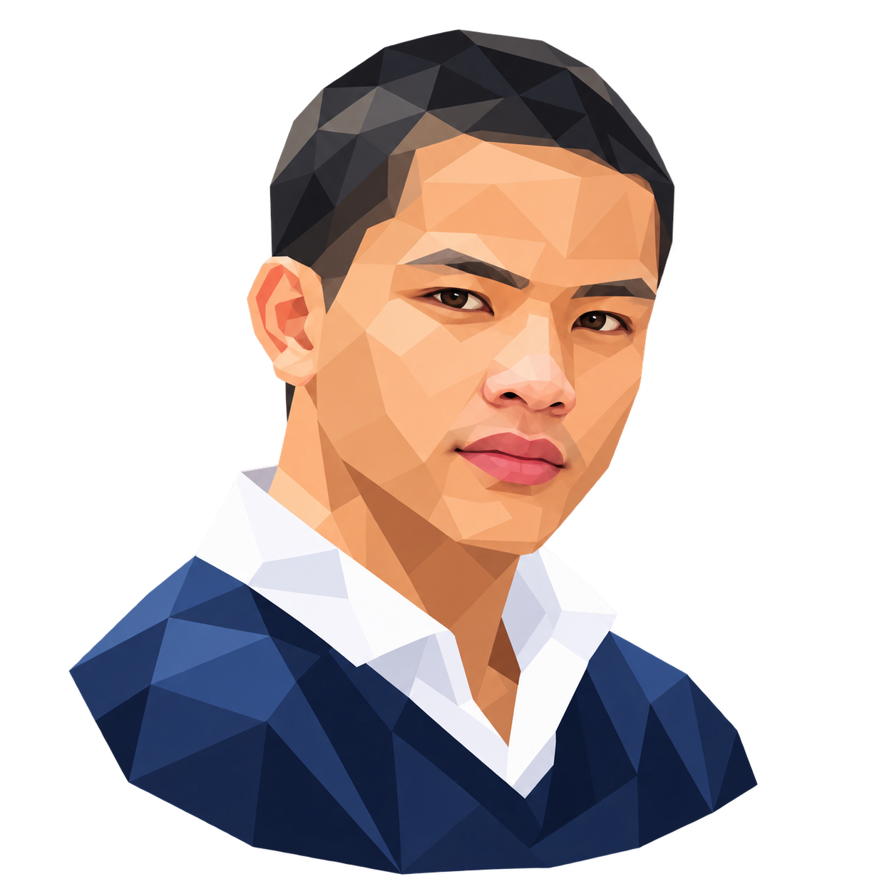 Polygon portrait of Vien Vu